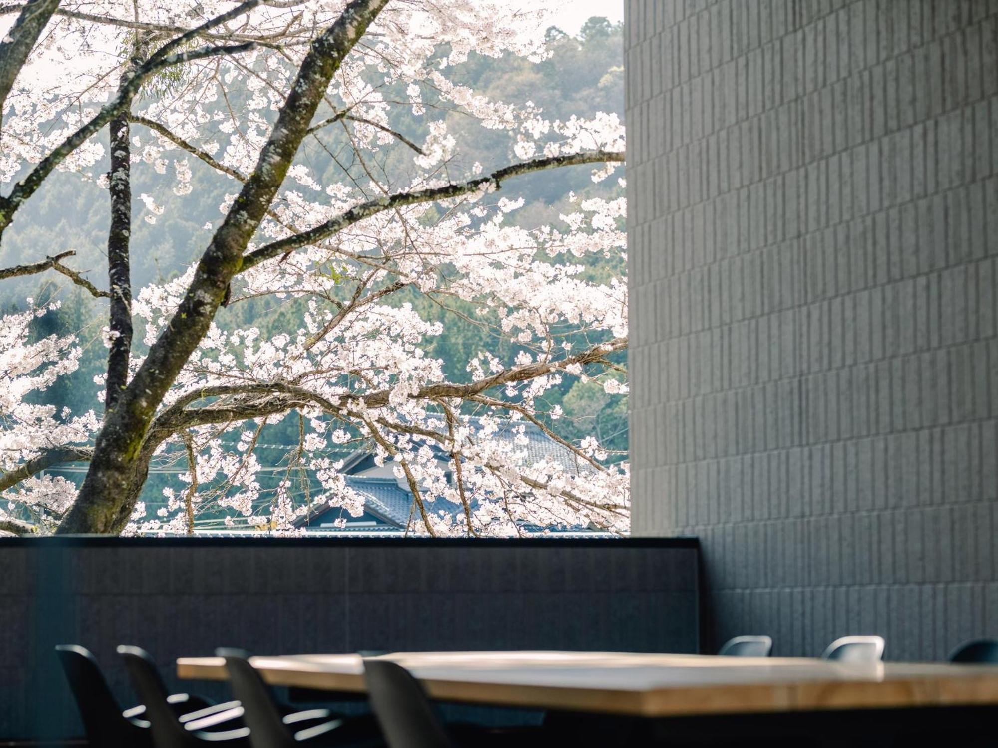Tef Tanigumi - Vacation Stay 78908V Ibigawa Eksteriør bilde